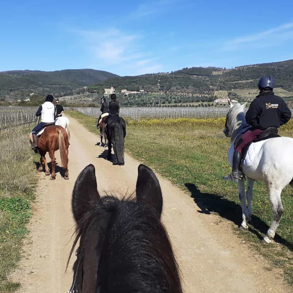 Horseback Trekking Tour for Experts in Montalcino